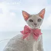 Товары от 昭昭昭昭昭cao