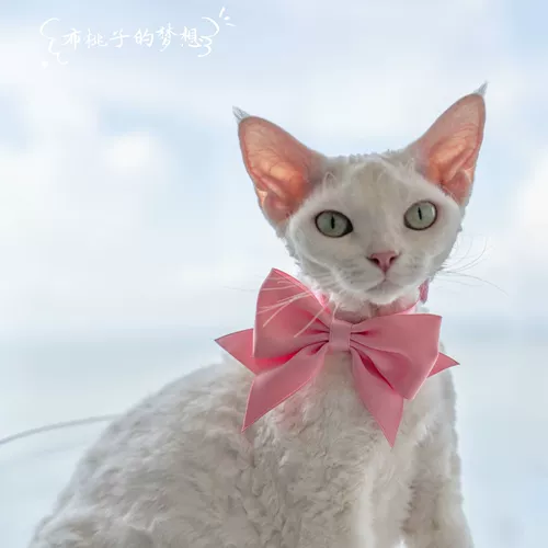 Аксессуар с бантиком, чокер ручной работы, в цветочек, подарок на день рождения