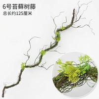 № 6 моделирование моховой виноградной лозы