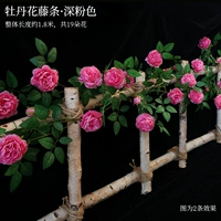 Guifei Peony Tengbar темно -розовый