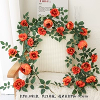 Европейская виноградная лоза в стиле европейского стиля