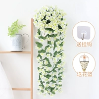 Purple Violet White 1 Преимущества (бесплатная корзина треугольника)