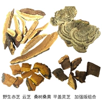 Wild Chizhi Yunzhi Pingjie Ganoderma Mulberry Mulberry Wourted Waters Улучшенная версия комбинированные лекарственные материалы для 15 экземпляров чая и загруженных сухих товаров