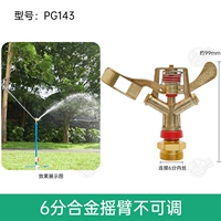 6 -точка сплавного рокера нерегулируемого PG143