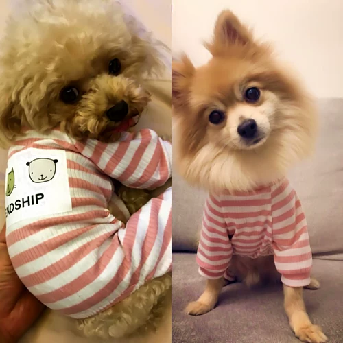 Бесплатная доставка для домашних собак, домашний комфорт для домашних животных, щенков, кошек, биполяров, одежды для плюшевых собак, пижамы