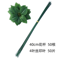 40 см 4 листового проволочного стержня 50 корней