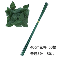 40 см 3 листовых цветочных столбов 50 корней