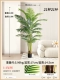 2.0M San Tail AOI 2,0M+Black Basin [Обновление типа ❀ не -токсичный и без запаха 0 формальдегид]