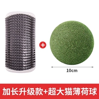 Длинный, элегантный, большой, мятный