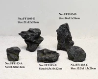 Цинглонг Камень расписание