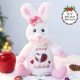 23 New Love Rabbit Doll [Fan Fan]