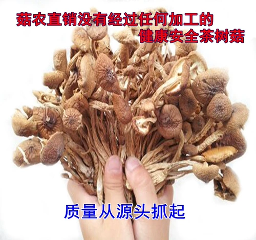 Jiangxi Guangchang Tu -Made Umbrella Tea Tree The The The Grush Sulk Select