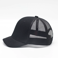 Черная сетка для волос