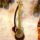 新疆民族手工乐器工艺品维吾尔族乐器舞台40厘米热瓦普装饰品摆件 mini 0