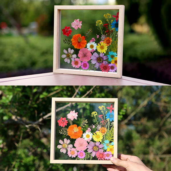 Лампа для растений, образец ручной работы, фоторамка, прозрачное стеклянное деревянное украшение, «сделай сам»