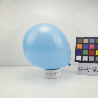 Светло -голубой Hyatt 10 -Inch Light Blue