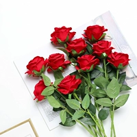 10 ветвей солнечных роз