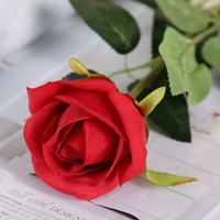 Снежная гора роза красная ветвь