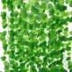 80 кусочков ротанга из листьев винограда (12 статей)
