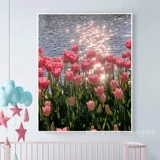 2024 Новый тульп бриллиантовой буровой