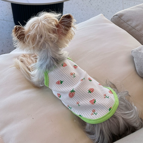 Маленькая сладкая каша домашние животные, собаки и кошки, маленькие свежие и дышащие подвески летние новые модели