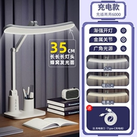 Флагман [заряжает два -6000 автономной срок службы батареи