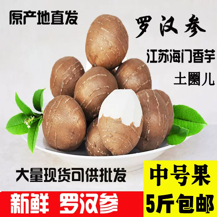 山东单县罗汉参 小果 香芋参崇明香芋子地人参香栗参香地栗