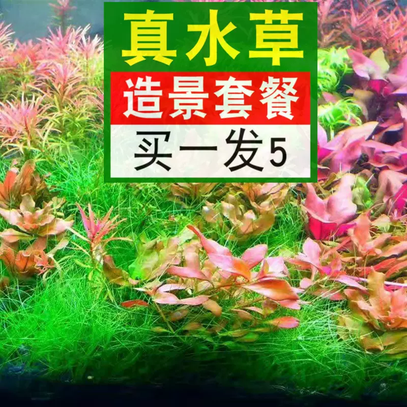 水草缸用二氧化碳片缓释简易补充co2方便添加全溶解防爆藻专用