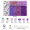 19#6格盒装 | 紫色系 3mm米珠+字母珠 共计3500颗