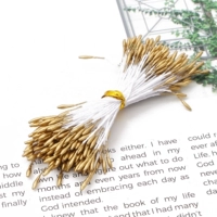 Шампанское золотое симуляция Цветочная гипсовая жемчужная ядра длиной 1 мм 60 мм около 90 филиалов