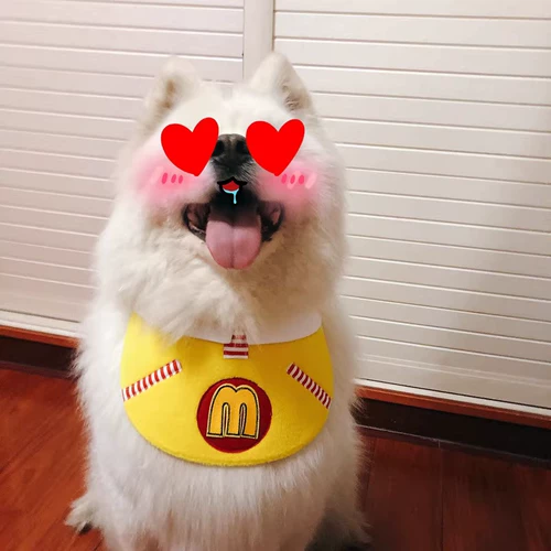 Qiaojian yu мама/оригинальный дизайн mai men yonglun dog dog Водяное полотенце большое водонепроницаем