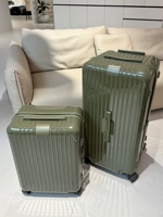 Кактус зеленый глянцевый тип