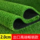 2 см Экспорт Высокий -Лучшая модель -новая рекомендация Guozi Environmental Cao/Cindergarten]
