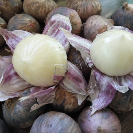 新干蒜独蒜香蒜头独头蒜紫皮蒜头农家自种本土特产生大蒜种500g装