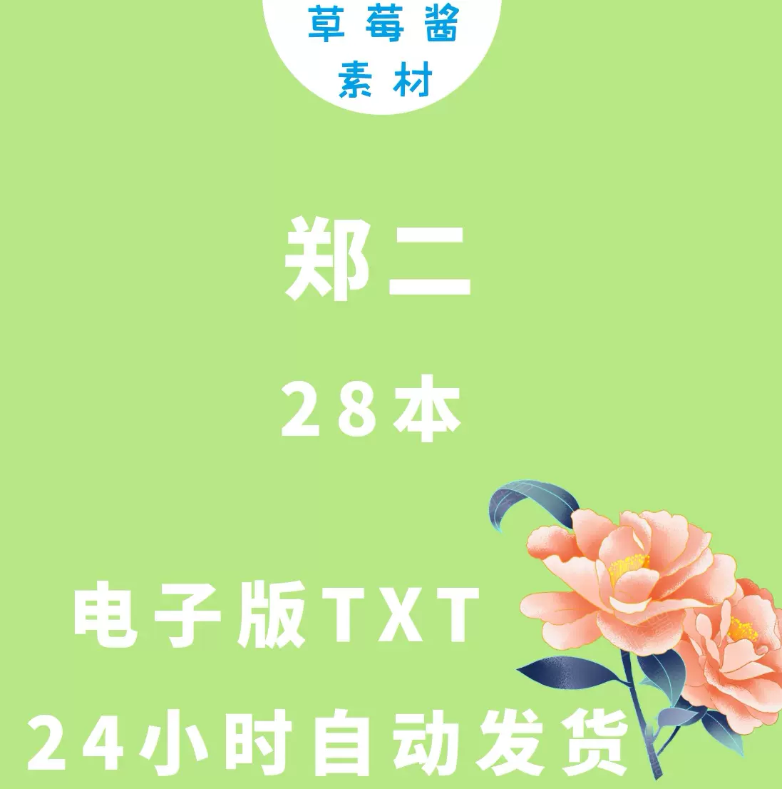 桃花债 张公案 皇叔大风刮过小说合集txt电子版素材模板