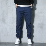 Мужские весенние штаны, спортивные повседневные брюки, оверсайз