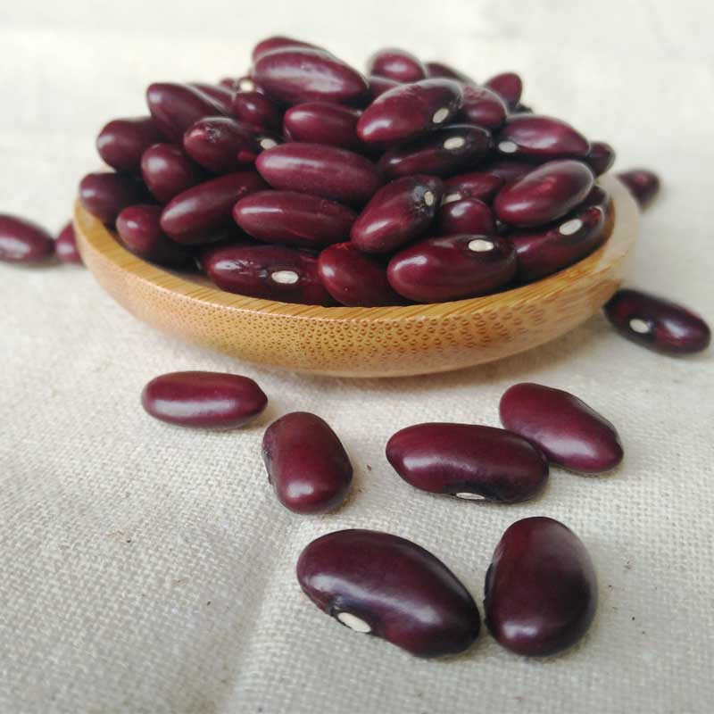 新货贵州土特产紫豆大红豆非红腰豆老品种紫豆农家自产山里农家货