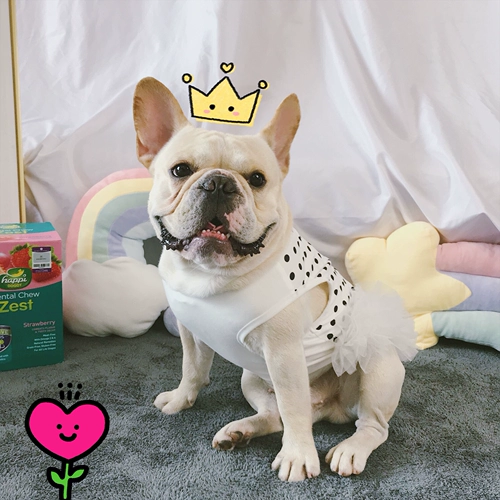 Белый летний тонкий ретро жилет, юбка для принцессы, популярно в интернете, белая одежда