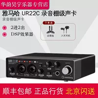 Yamaha/Yamaha UR22C44C816C Профессиональная запись Аранжировка аудио -интерфейса Yamaha Sound Card лицензирована