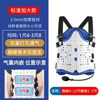 SF Express [Рекомендация бычьей пряжки жира] одиночные подушки безопасности