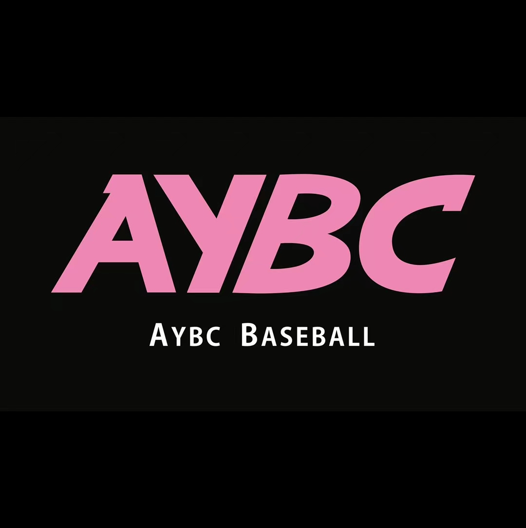 AYBC ߱ AI 뺸 ߱ ĺ AYBC Ʒ ķ