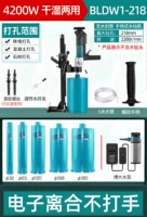 BLDW1-218 Операция бесщеточной полосы+(32/63/120/168/180 BIT)+Подарочный пакет 4200W