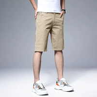 DK8028 Deep Kaki/Shorts (одиночная установка)