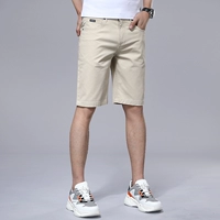 DK8029 Хаки/Шорты (одиночная установка)