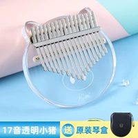 Прозрачная модель свиньи+пианино -коробка/Подарочный пакет аксессуаров (Hot Snap -Up)