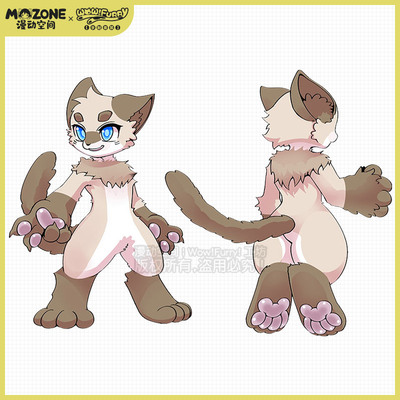 taobao agent Man -spatial original Furry Beast Siamese Cat Cat Kajia Fursual Fursuit Full Package Personal Customization