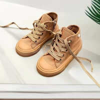 8005 Chocolate Color