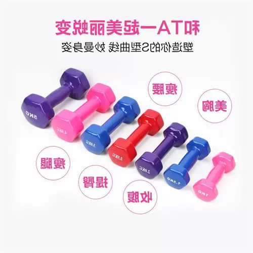 New 1kg - 10kg Womens Dumbbells Weights Gym Fitness