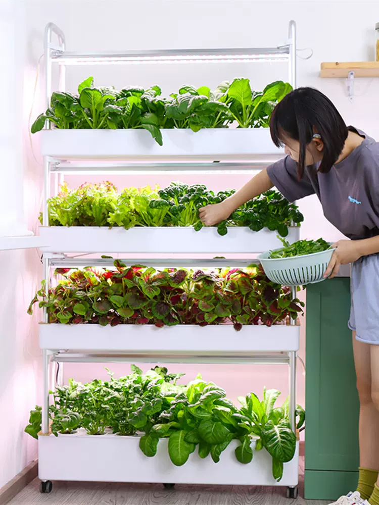 智能无土栽培设备水耕水培蔬菜种植机家庭室内植物工厂立体种菜架-Taobao