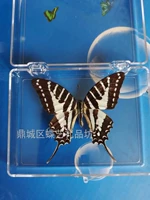 Красная осадка, зеленая бабочка 6 см.